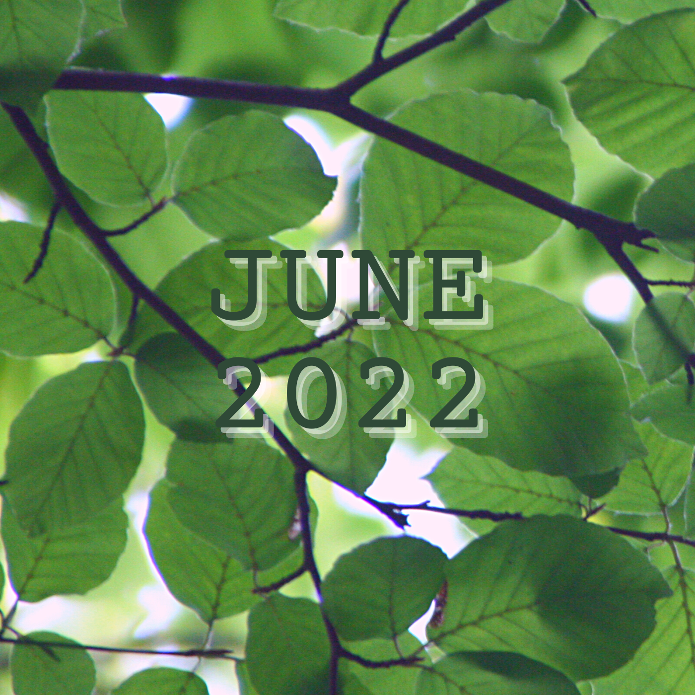 a photo of sun dappled green leaves with june 2022 in a serif font at the center