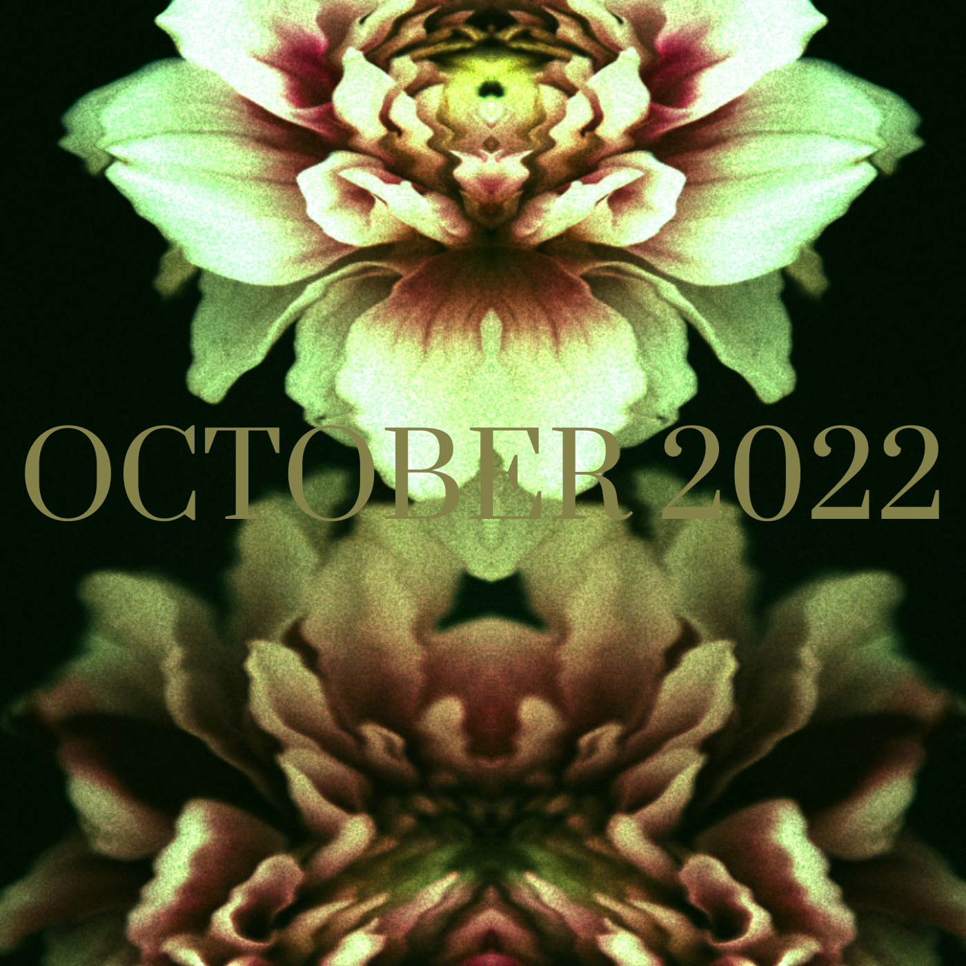a glitchy image of mirrored peonies in grungy reds and greens, the upper flower has a quality that makes it look like an eye, october 2022 is across the center of the image in an olve green serif font