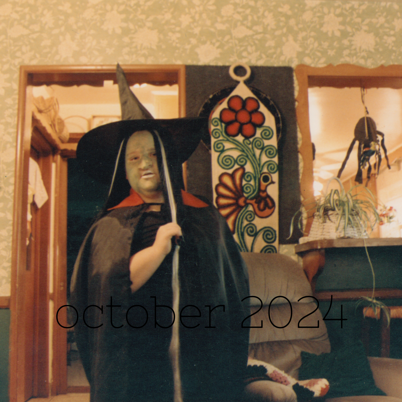 a square image of a kid anywhere from five to ten tbh dressed as a witch with a pointy hate, green face, and long black wig with gray streaks