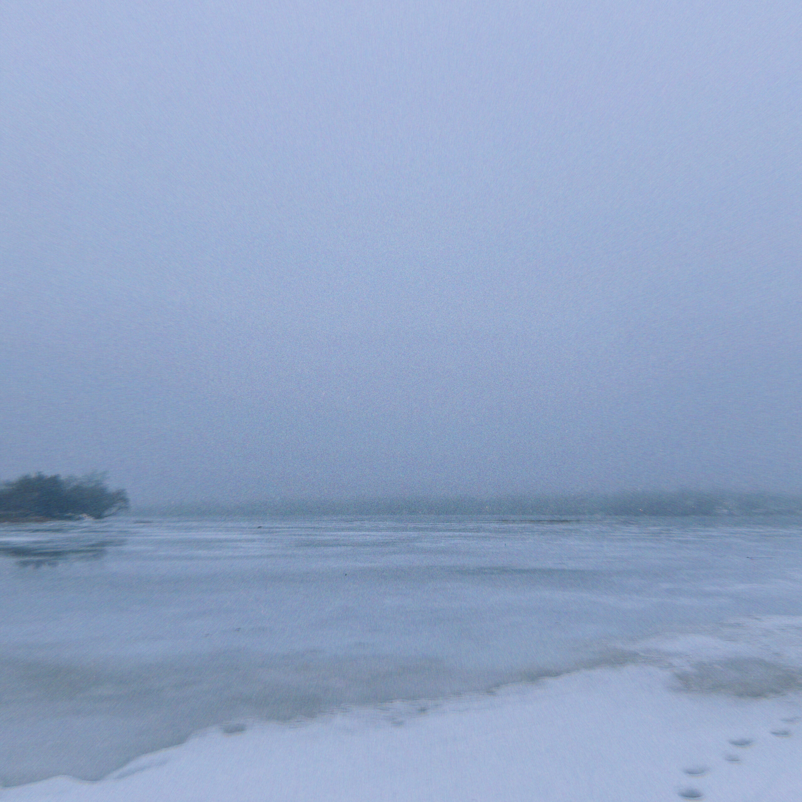 a square image of a frozen lake with a smudge of distant shore and a dark inlet on the left, there is snowy shore in the foreground marked with animal prints