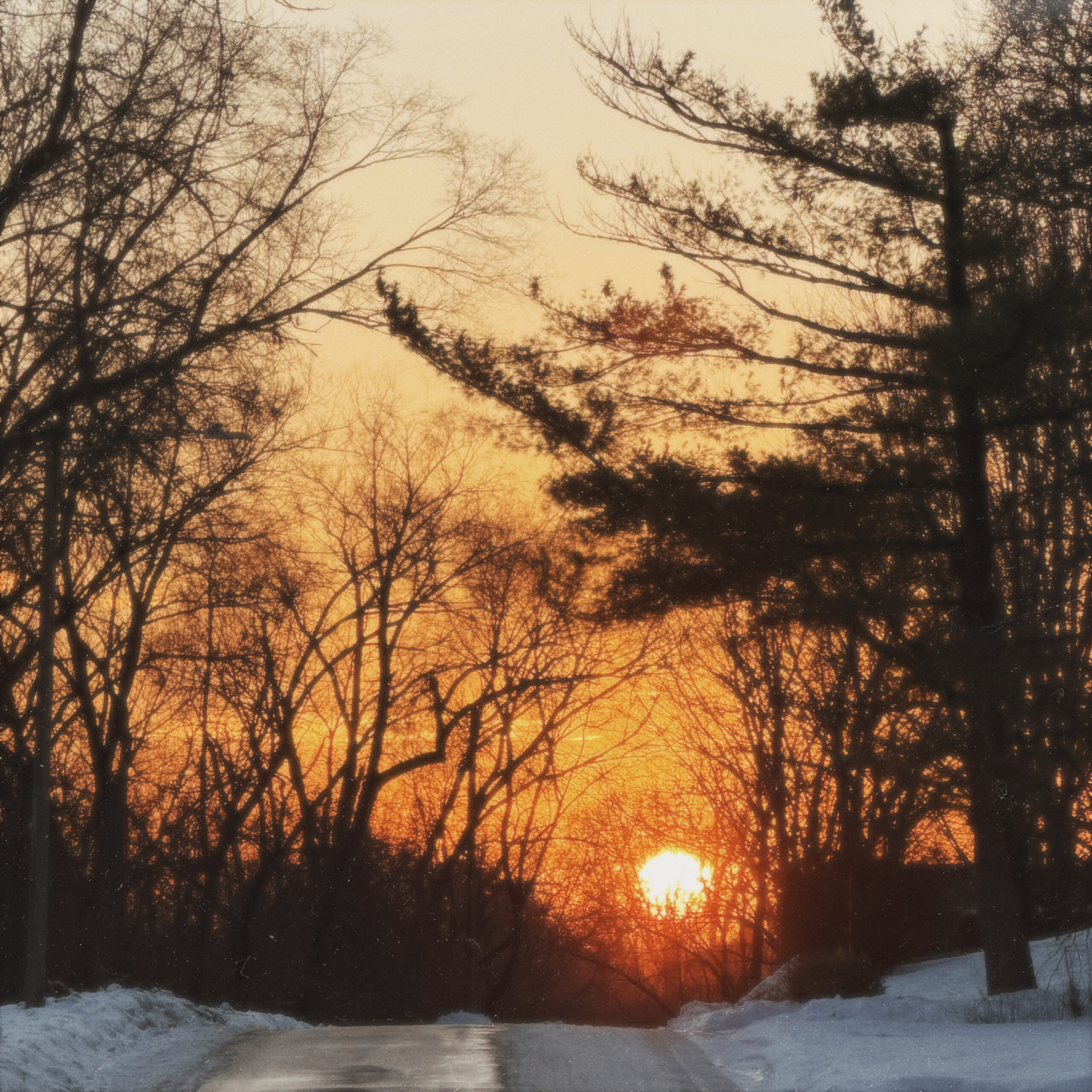 a square image of an icy, snow-lined road leading toward a sunset seen through trees both bare deciduous and evergreen
