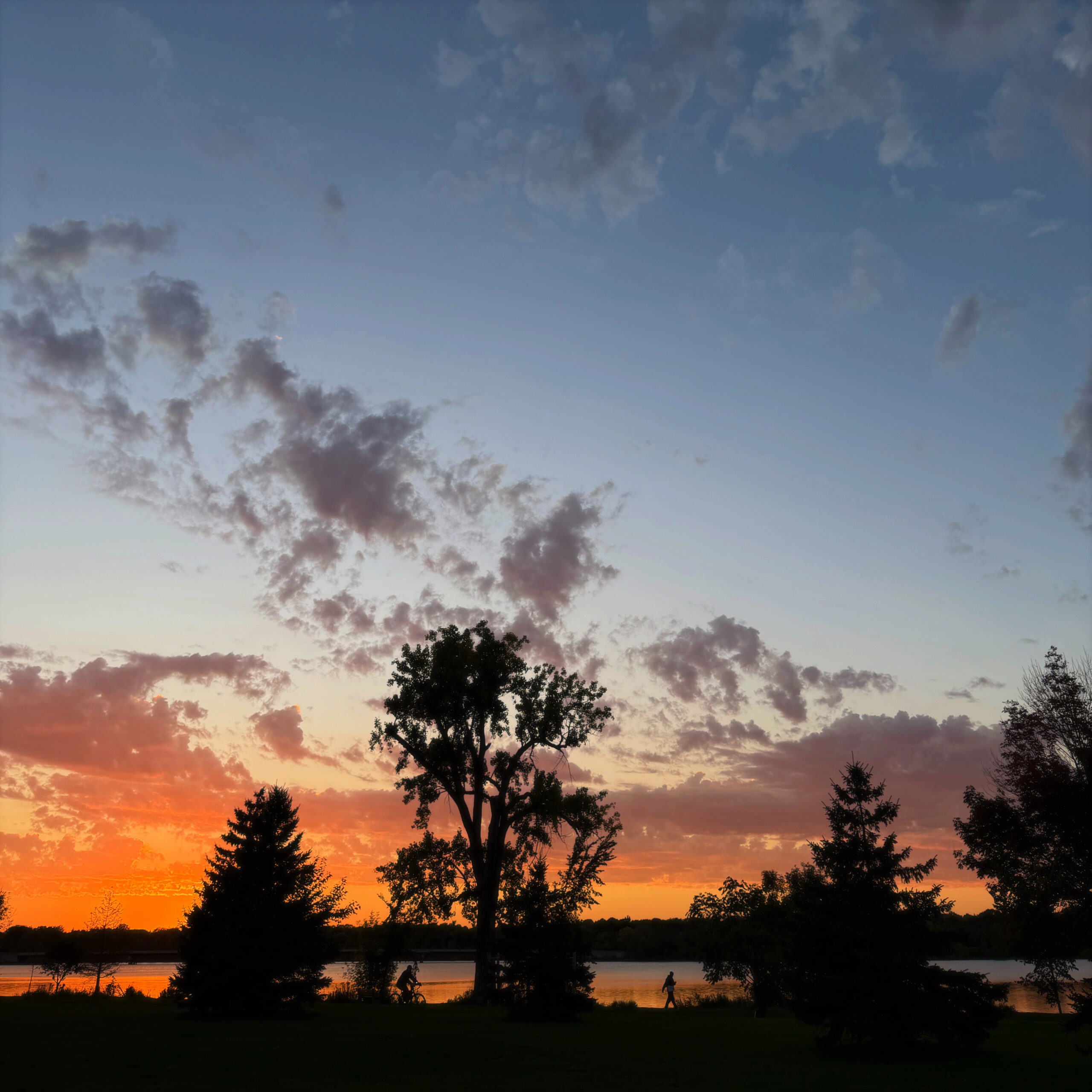 a square image of tree silhouettes with a people walking and biking alongside a lake with the sun setting